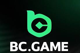 Step-by-Step Guide to the BC.Game Registration Process