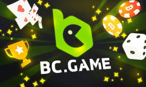 Understanding the BC.Game Login Process A Comprehensive Guide -238031827