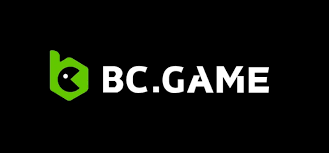 Explore the Thrills of BC Game Casino USA