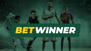 BetWinner Betting Platform Your Ultimate Guide to Sports Betting